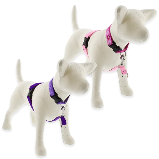 Lupine dog harnesses and leashes hot sale