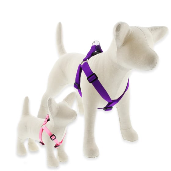 LupinePet Step-In style dog Harness in assorted Basics Solids Colors. 