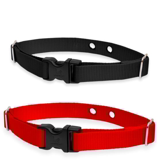 petco leashes and collars