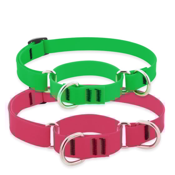 Martingale leash collar clearance