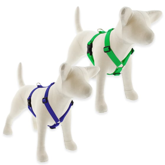 Lupine dog harnesses and leashes top