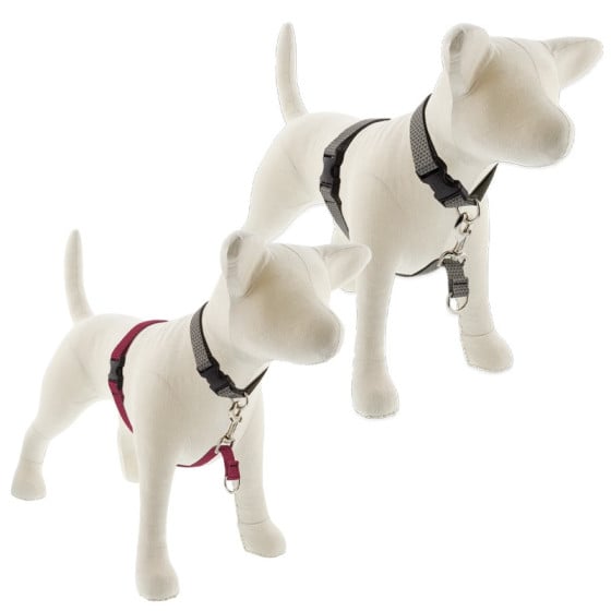 Peerless pets no pull harness shop