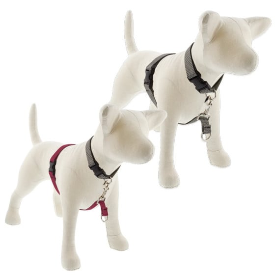 Eco No Pull Training Harness