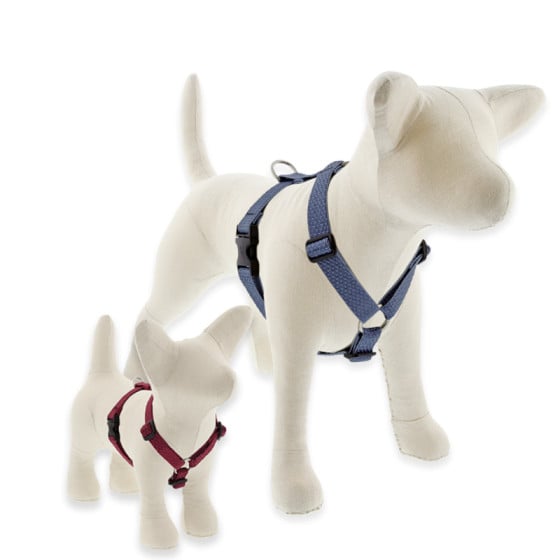Eco Roman Dog Harness