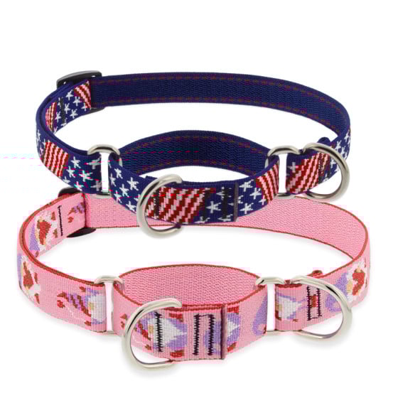Holiday Designs Martingale Collar for Training
