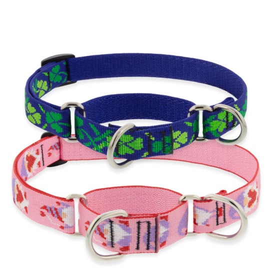 Holiday Designs Martingale Collar for Training