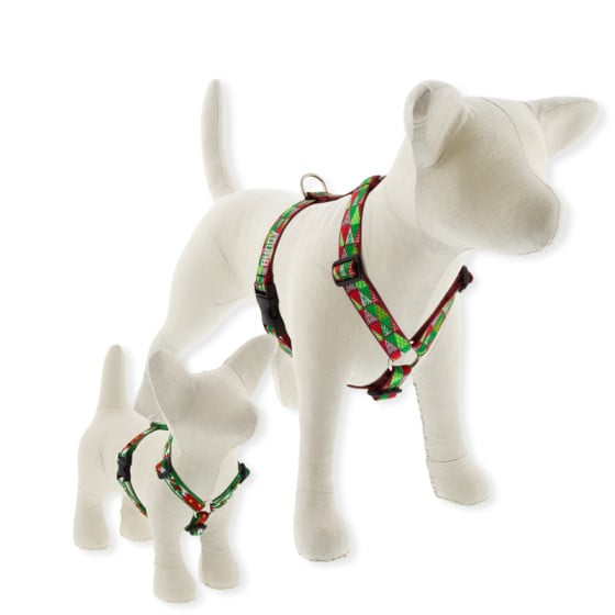 Holiday Dog Harness Roman style traditional Dog Harness in LupinePet's Holiday Collection