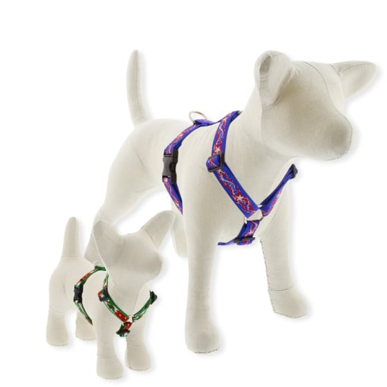 Holiday Dog Harness Roman style traditional Dog Harness in LupinePet's Holiday Collection