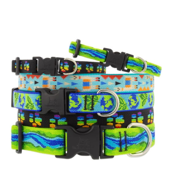 LupinePet dog collars in assorted Micro Batch limited designs. Made in the United States.
