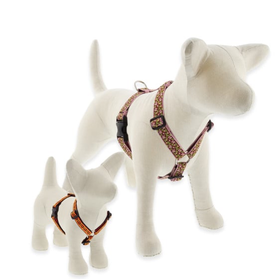 Dog harness traditional roman style in LupinePet MicroBatch Limited Designs