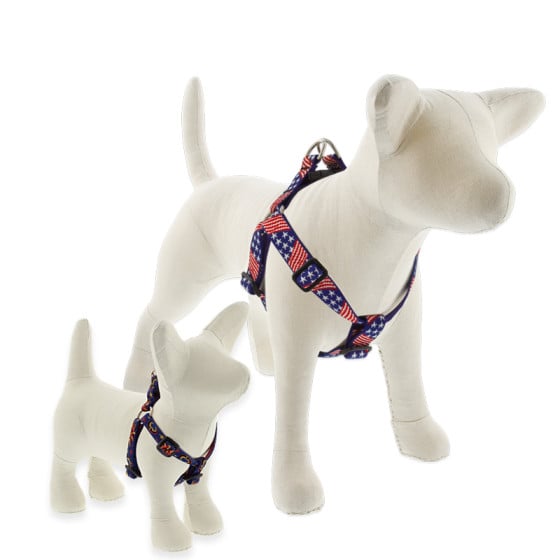 Lupine pet leash online