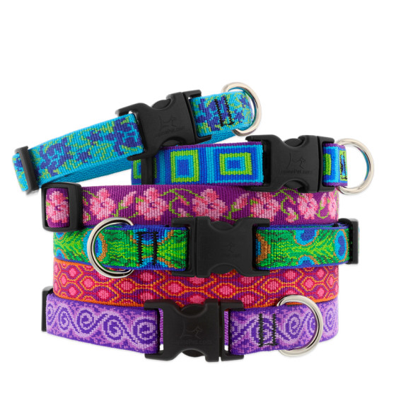 Dog collars available for every size dog from LupinePet. Seen here in our popular Original Designs collection. Lifetime Guarantee.