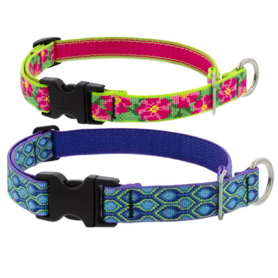 Original Designs Limited Slip Collar with Buckle