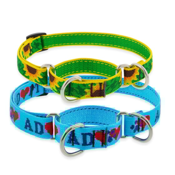 【SCENERITY】Lupine Collar Knit Holiday Dog Collar | By LupinePet
