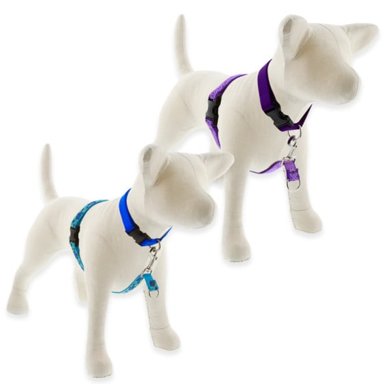 LupinePet No Pull training Harnesses shown in Original designs Turtle Reef and Jelly Roll. For medium and large dogs.