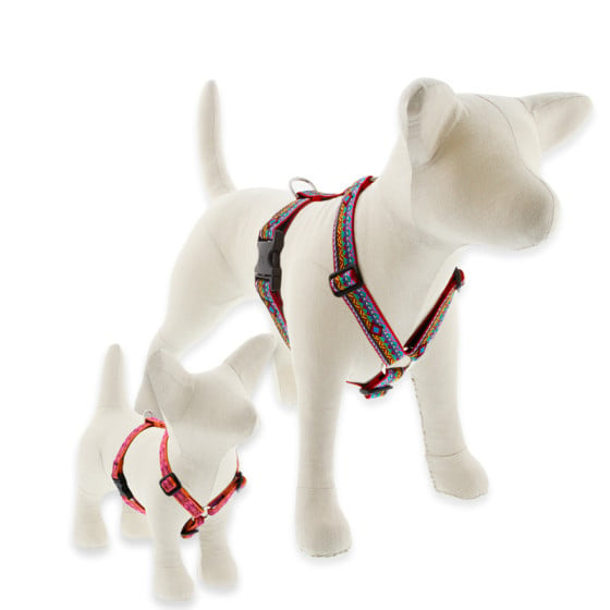 Traditional Roman Dog Harness by Lupine Pet. Seen here in assorted  Original Designs. Sizes for every dog. 
