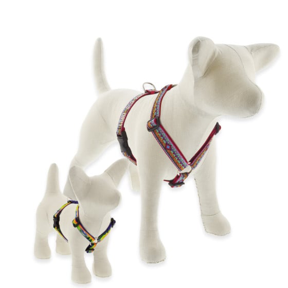 Original Designs Roman Dog Harness
