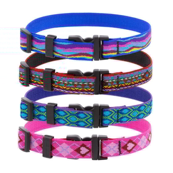 Lupine dog collars near me outlet