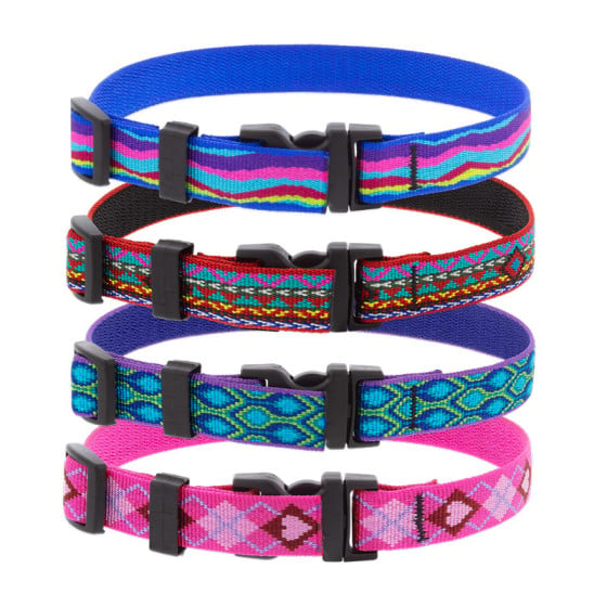 Designer Dog Collars, Australia's Coolest Pet Supplies