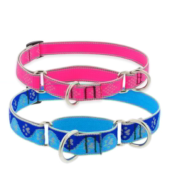Martingale Collar Lifetime Guarantee Lupine Pet
