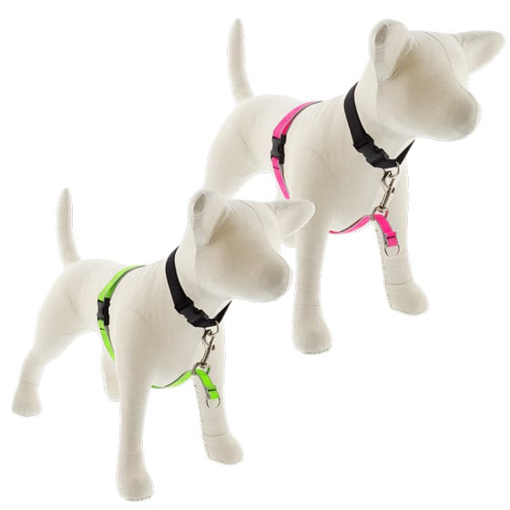 LupinePet No Pull training Harnesses shown in Reflecitve designs Pink Diamond and Green Diamond. For medium and large dogs.