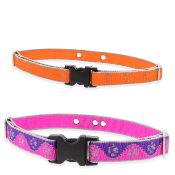 LupinePet Reflective Underground Containment Fence Dog Collars in the High Lights Collection