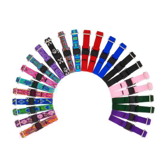 Dog Collars Strong, Reliable & Guaranteed LupinePet