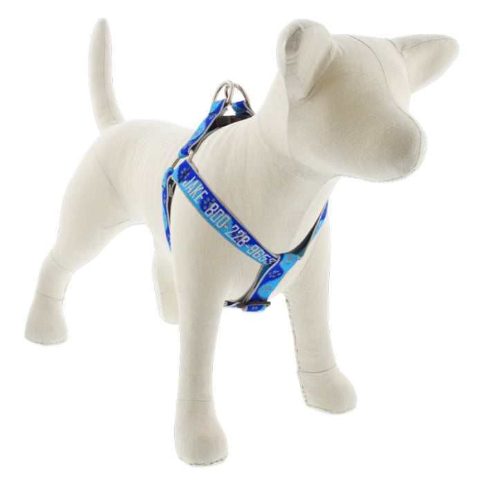How to use a step in dog harness shop
