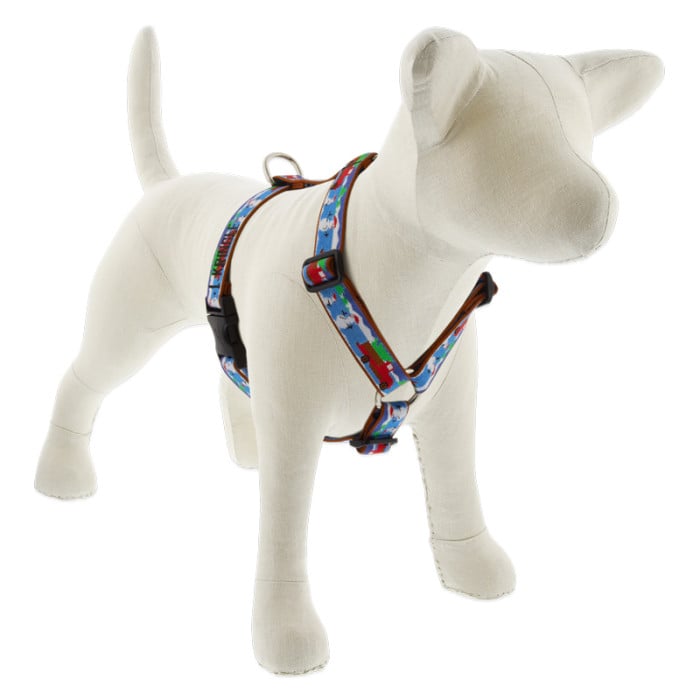Lupine leash warranty clearance