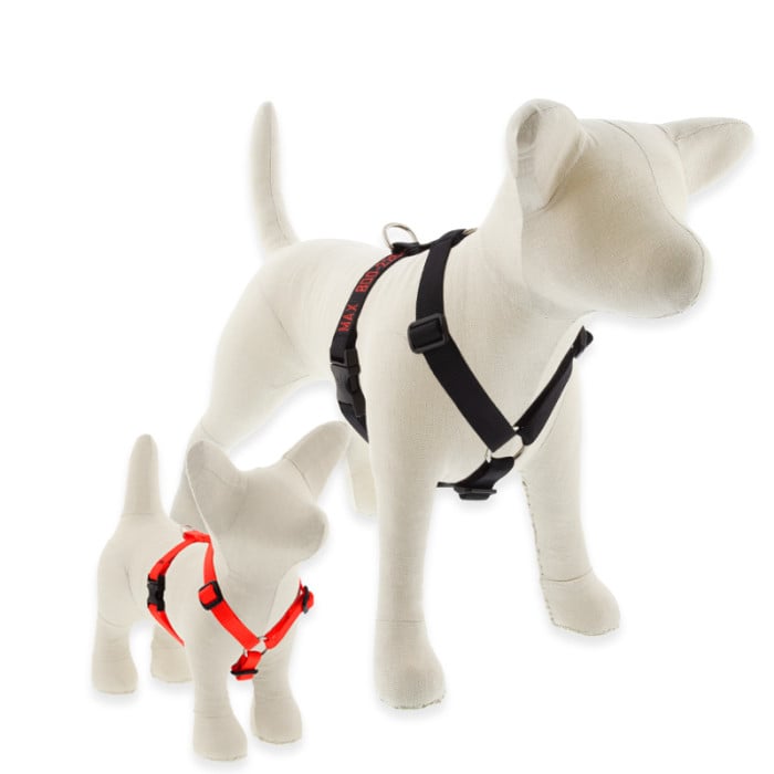 Dog Harness Roman Style Basic Solids by Lupine Pet