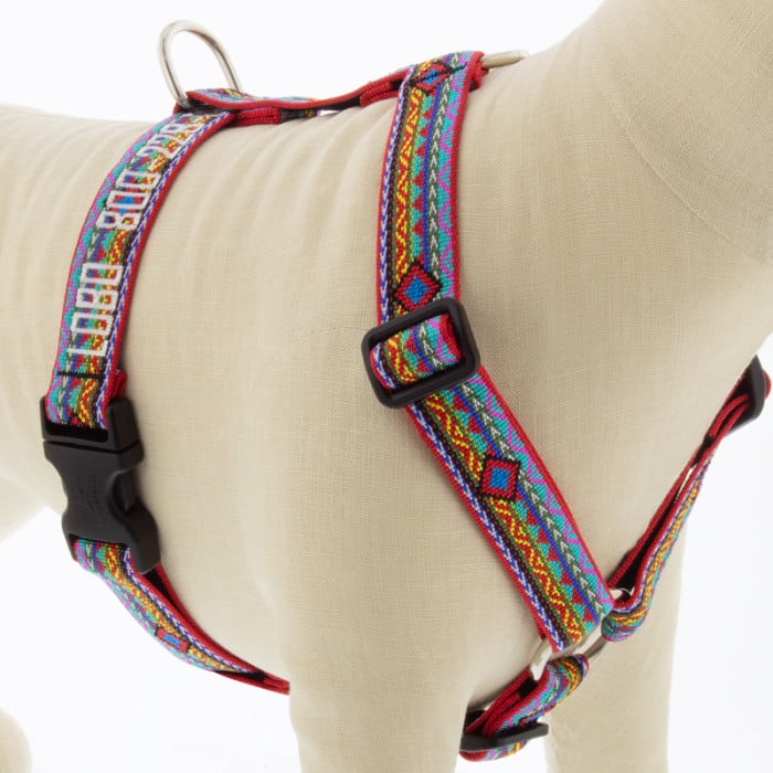 Dog Harness Roman Style Original Designs by Lupine Pet