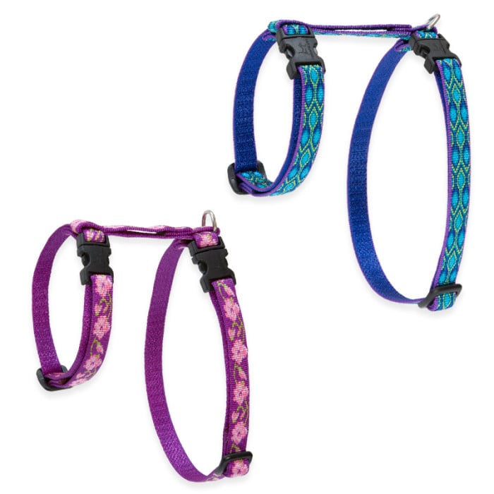 Lupine cat harness 2025