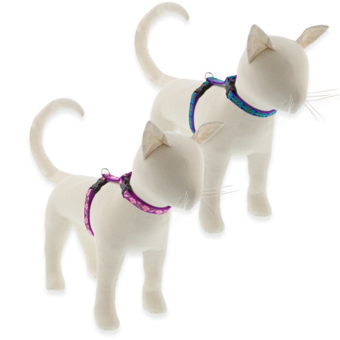 Pet harness for cats shop