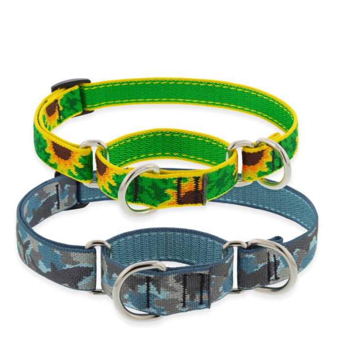Dog collars for medium dogs hotsell