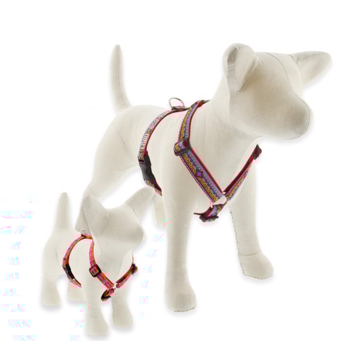 Dog Harness Roman Style Original Designs by Lupine Pet