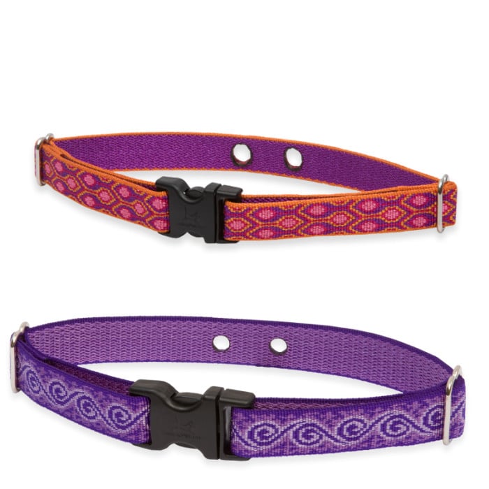 bark collar and invisible fence