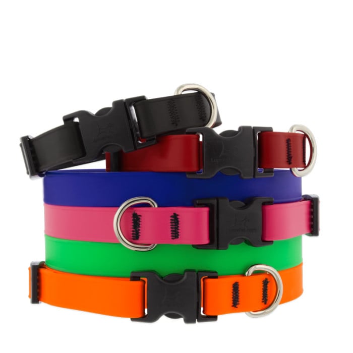 Splash Waterproof Dog Collar