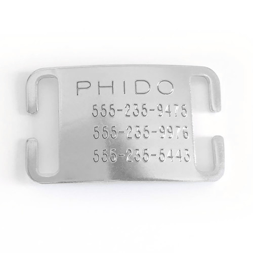 Boomerang Slip On Pet ID Tag from LupinePet