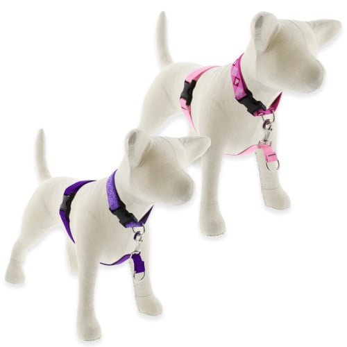 LupinePet No Pull training Harness shown in Basic Solids Pink and Purple. For medium and large dogs. 