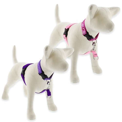 Roman style hotsell dog harness