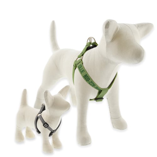 Lupine leash return top