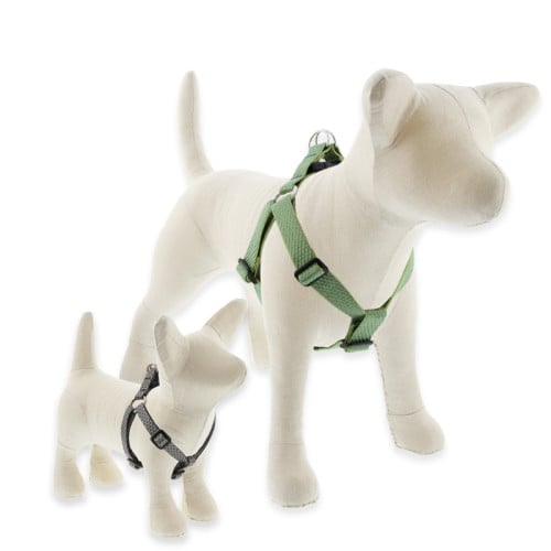 Step-in dog harness in LupinePet Eco Recycled line.