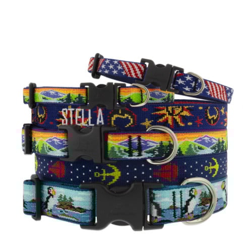 Reflective Dog Collar by LupinePet