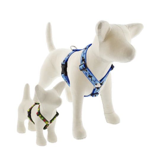 Dog harness traditional roman style in LupinePet MicroBatch Limited Designs