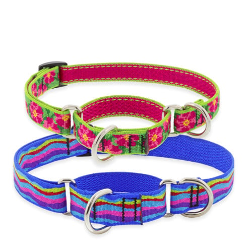 Martingale Collars in LupinePet Original Designs for medium-XL dogs. 