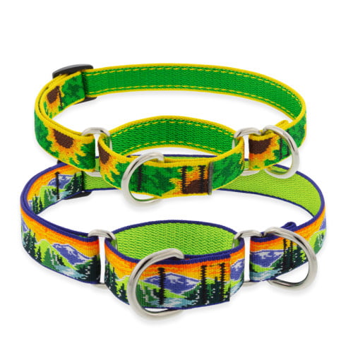 Martingale Collars in LupinePet Original Designs for medium-XL dogs.