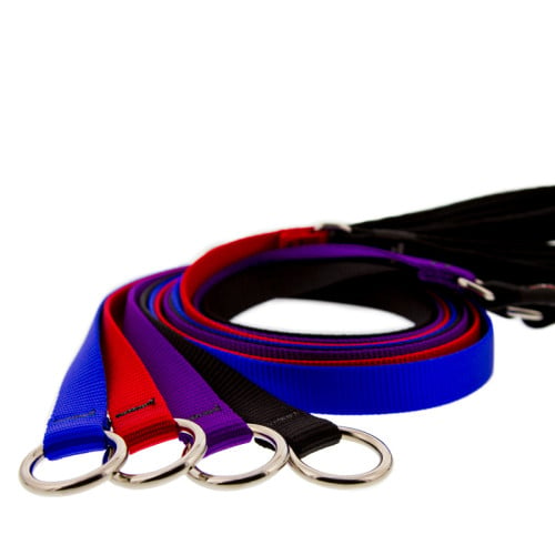 Slip Lead dog leash and collar all-in-one by LupinePet. Available in multiple widths and several Basic Solid colors. 