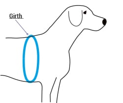 Dog Harness Fitting and Sizing Help