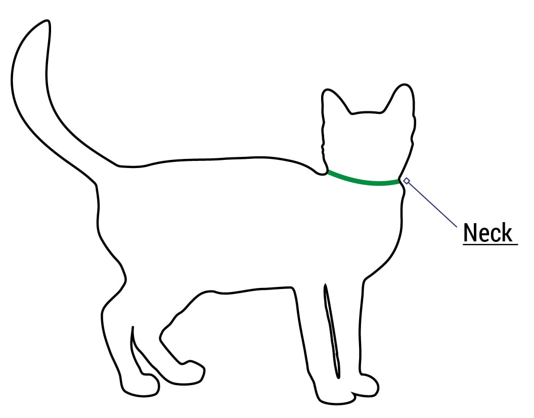 Cat Safety Collar Fitting and Sizing Help
