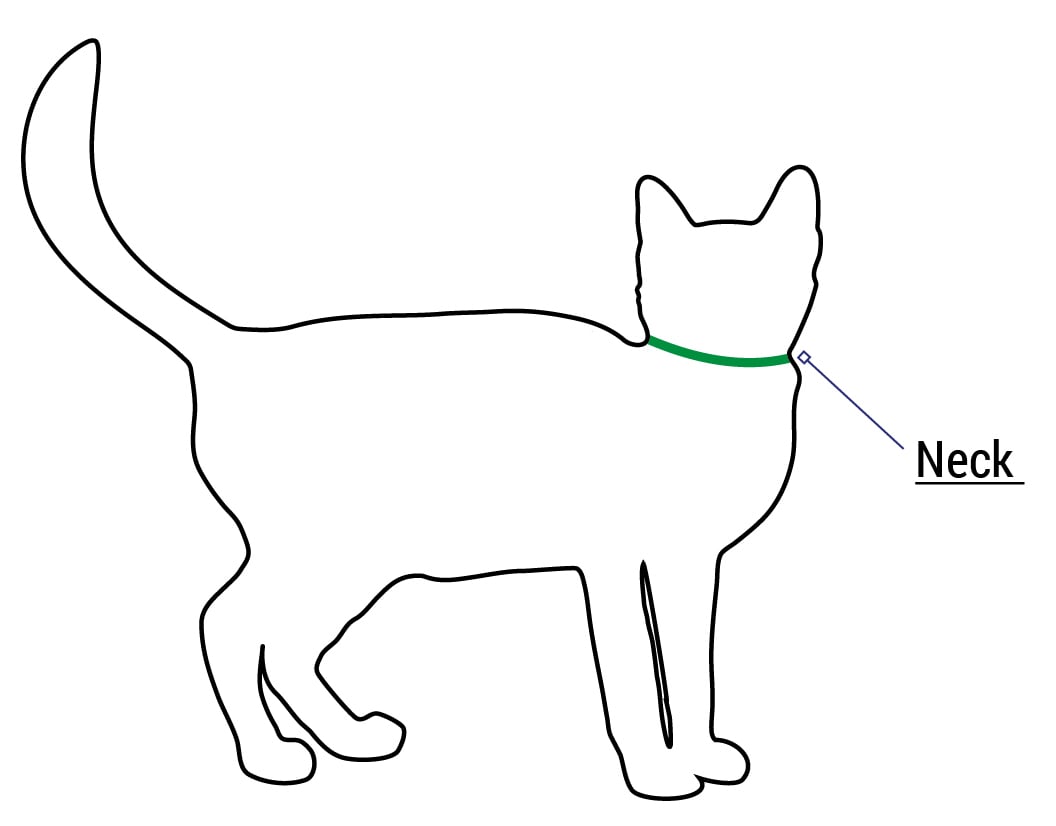 Cat Collar Safety Breakaway Lupine Pet Original Designs